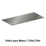 VIDRO FUME 1,70X0,70M - 21430